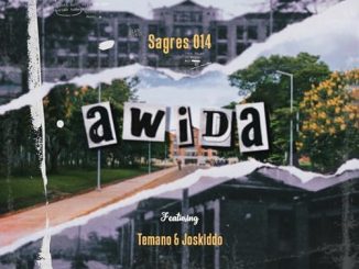 Sagres 014 ft Temano Joskiddo - Awida | Download Music MP3