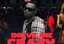 Ozone Africa – Drive Me Crazy