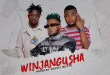 Ray Dee ft B Quan & Pap Chiz – Winjangusha Mp3 Download