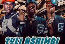 Sicoto world wide x Young Savage ft Slim Yo - Tuli Nshimbi ( Prod by dj kopala) Mp3 Download