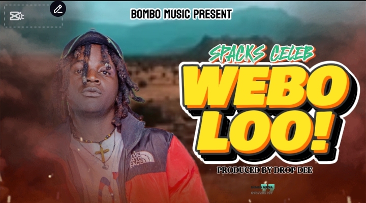 Spacks Celeb - Webolo (Prod By Drop Gee) Mp3 Download